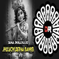 Suna Jhulana Re Jhuluchi Dekha Lo Kanhei -Dj Mix Bhajan-Dj Pabitra-Dronex